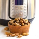 Boiled peanuts in a bowl in front of the instant pot.