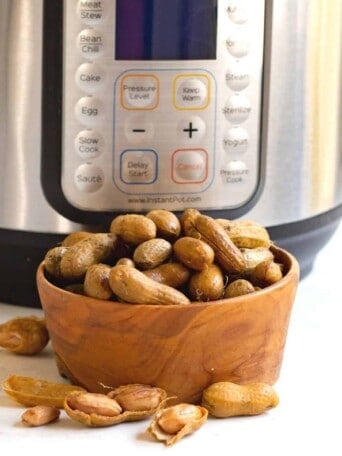 Boiled peanuts in a bowl in front of the instant pot.