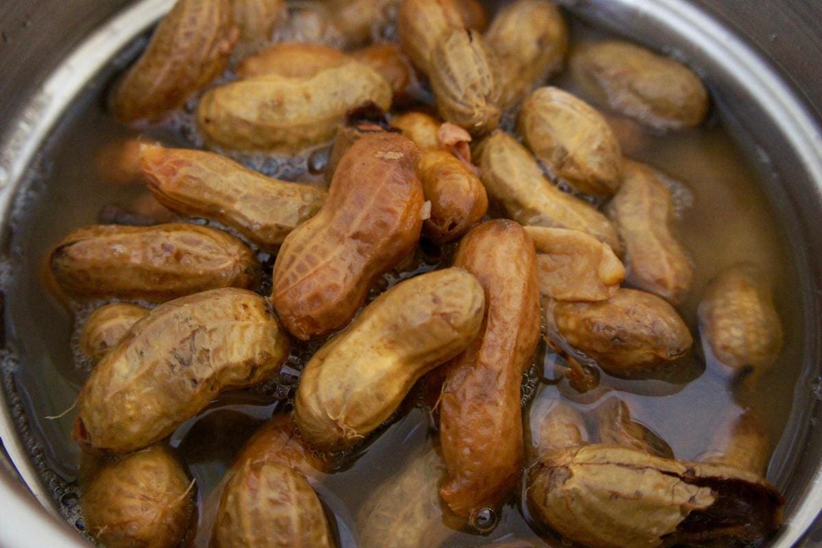 A pot filled with boiled peanuts in their shells soaked in water, showing the soft, swollen shells and a few partially opened pods—perfect for learning how to freeze boiled peanuts to enjoy later.