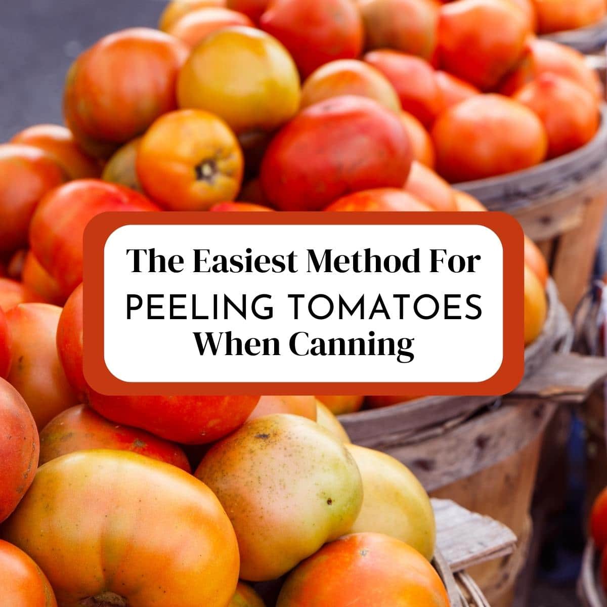 The Easiest Method For Peeling Tomatoes for Canning Intentional