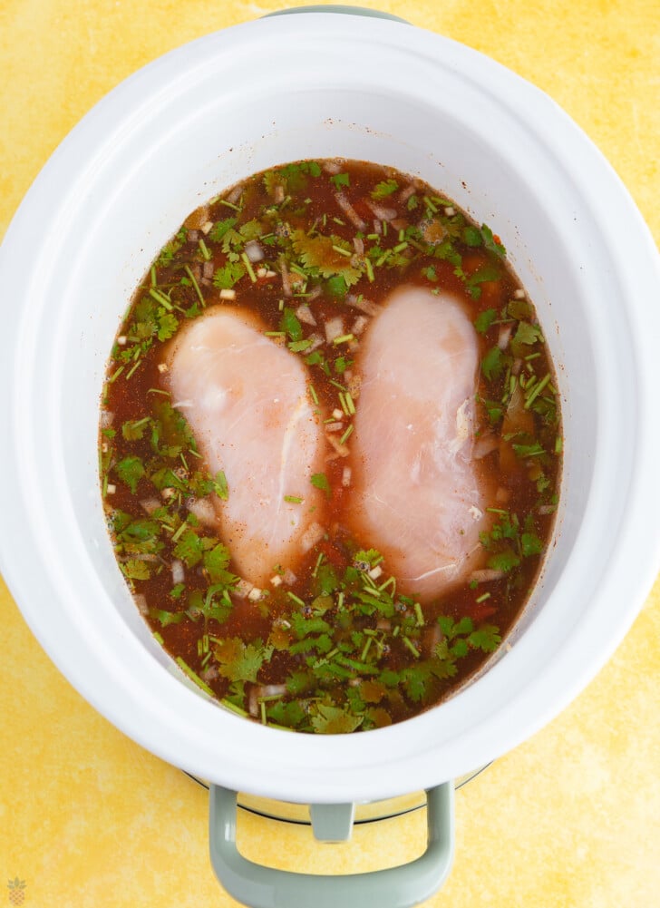 mexican chicken soup in the crockpot ready to cook