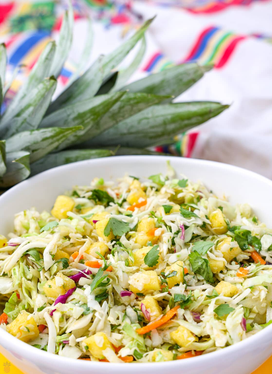 Mexican Cabbage Slaw Recipe With Zesty Dressing Intentional Hospitality