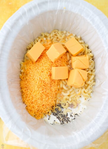 cooked macaroni with cheddar cheese, velveeta, salt and pepper