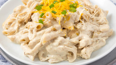 Creamy Crockpot Chicken with Ranch