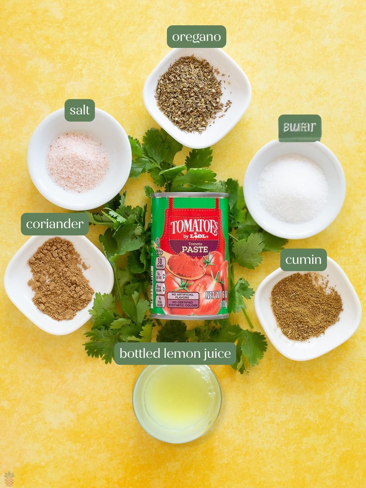 A can of tomato paste sits on cilantro, surrounded by small bowls labeled salt, sugar, oregano, cumin, coriander, and bottled lemon juice, all arranged on a yellow background.
