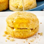 A golden 2 ingredient biscuit split open with butter inside, drizzled with honey, sits on a white plate with crumbs nearby.