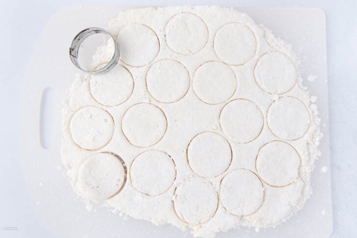 A sheet of biscuit dough with round shapes cut out using a metal biscuit cutter, resting on a floured surface.