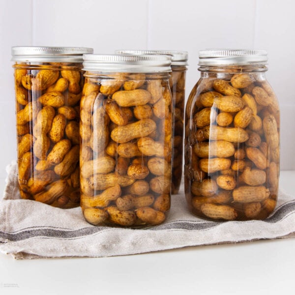 Four glass jars filled with boiled peanuts in liquid are arranged on a folded beige and gray-striped cloth, set against a white tiled background.