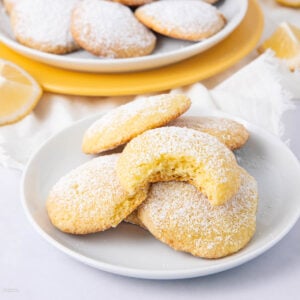 A plate of round lemon cookies dusted with powdered sugar, with one cookie showing a bite taken out. More cookies and lemon slices are in the blurred background.