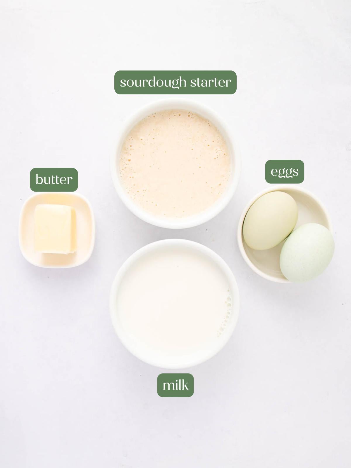 Four labeled ingredients on a white background: a bowl of sourdough starter, a small dish of butter, a bowl with two eggs, and a bowl of milk.