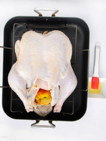 A raw whole turkey in a roasting pan, stuffed with orange and lemon wedges. Next to the pan is a white dish holding a red basting brush and some oil or melted butter.