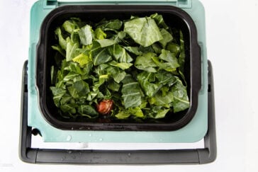 Chopped green leafy vegetables and a single small tomato inside an open air fryer basket, viewed from above.