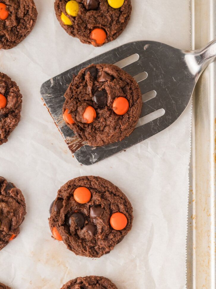 A metal spatula lifts a chocolate cookie topped with orange and yellow candy pieces from a parchment-lined baking sheet filled with other similar cookies.